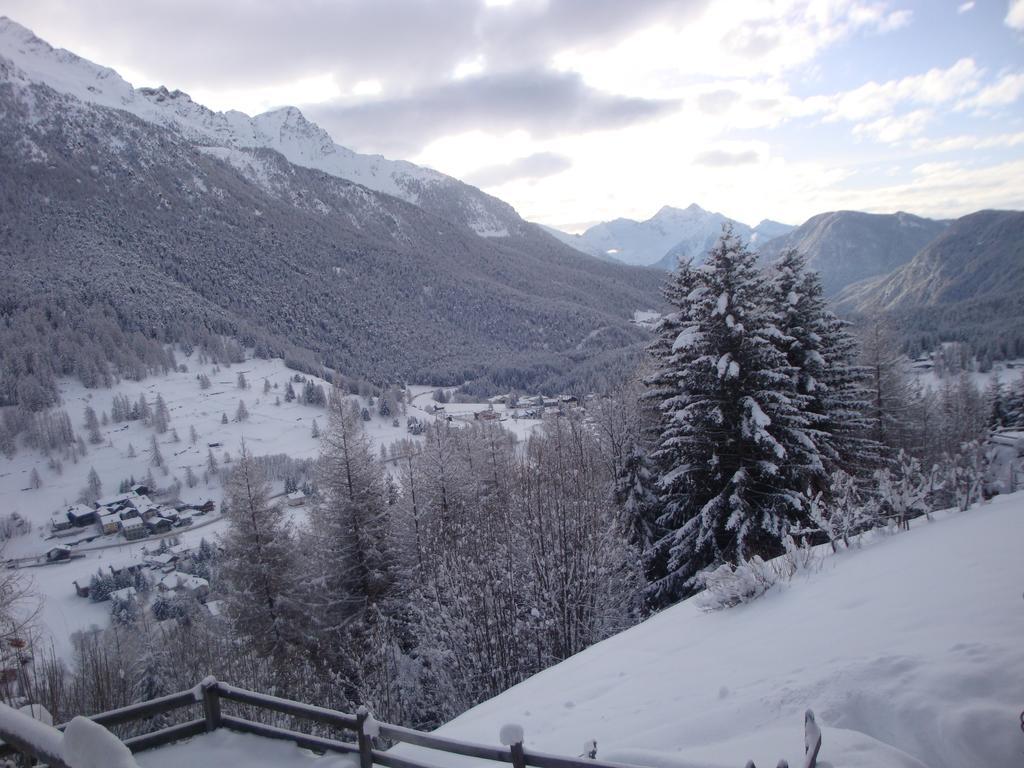 Hotel Alpe Fleurie Champoluc Εξωτερικό φωτογραφία